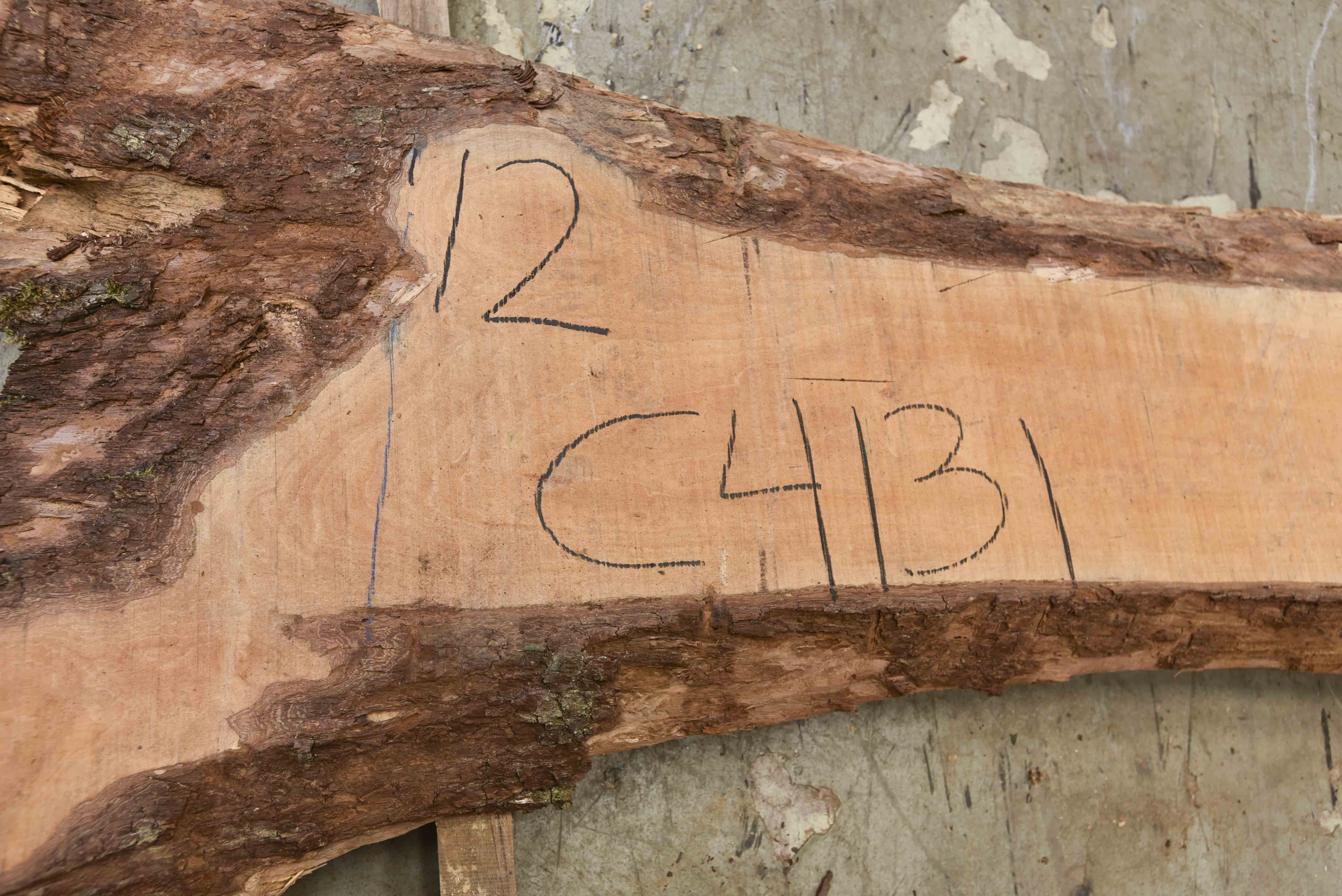 Pear (European) Board BC4131