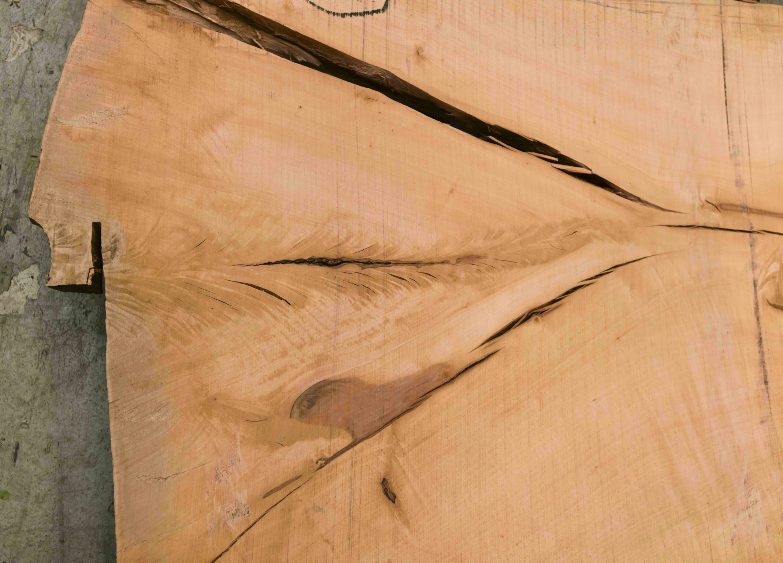 Pear (European) Board BC4135