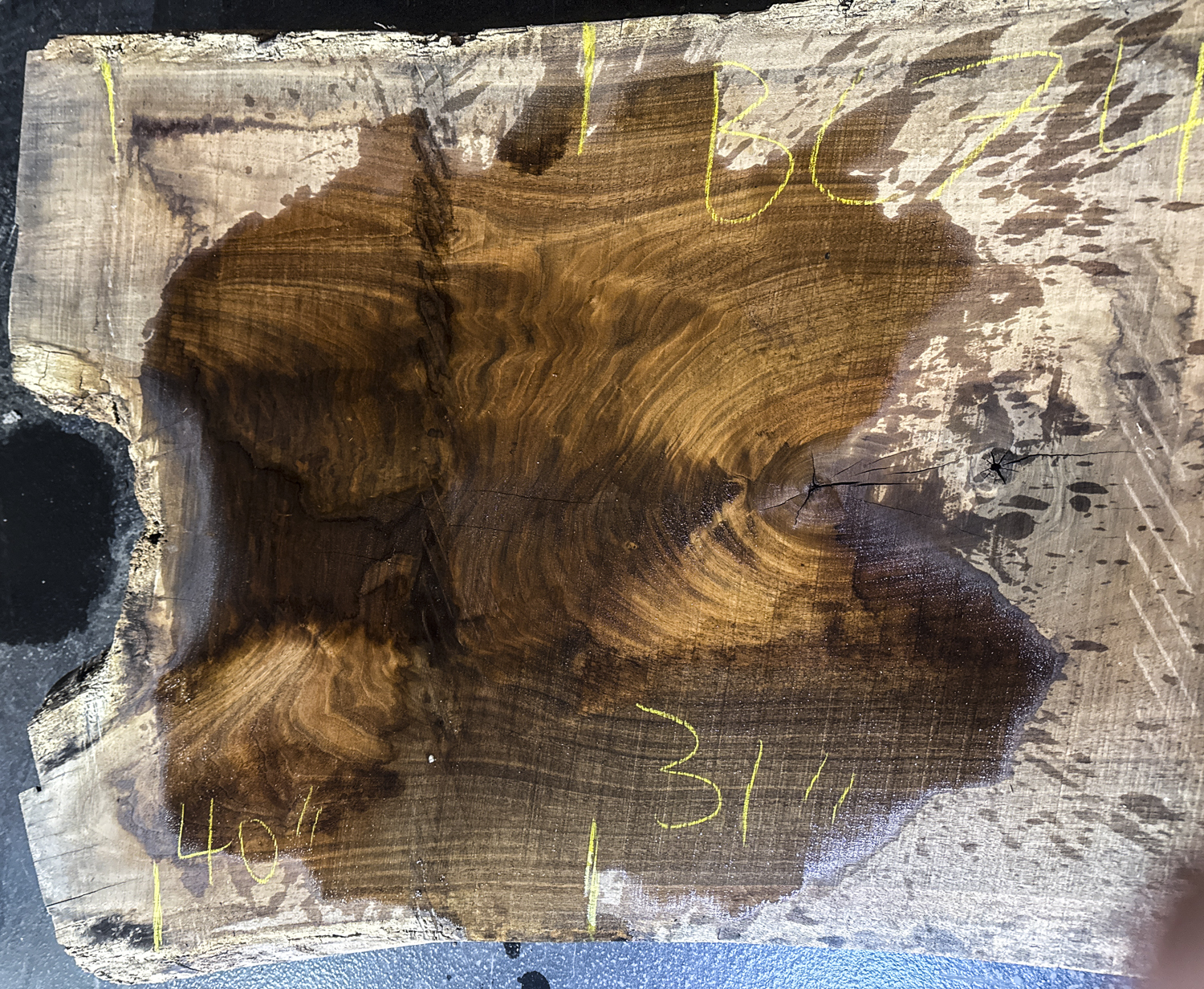 Walnut (Black) Board BC7487