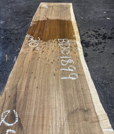 Blackwood (Tasmanian) Board BD01899