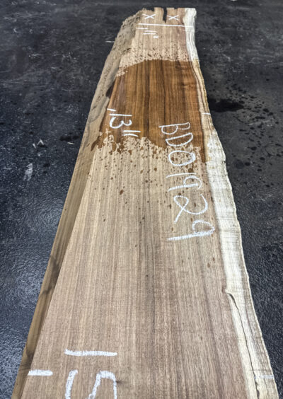 Blackwood (Tasmanian) Board BD01929
