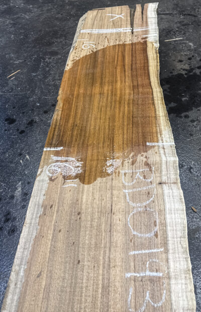 Blackwood (Tasmanian) Board BD01935