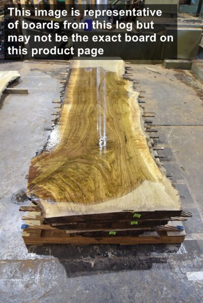 Walnut (Black) Board BD02141