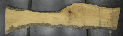Primavera Board BD02392