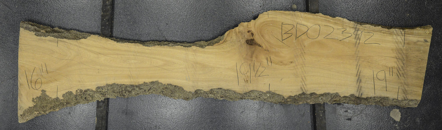 Primavera Board BD02392