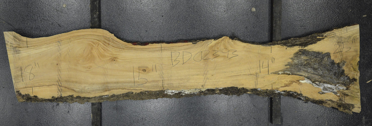 Primavera Board BD02393