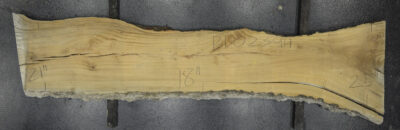 Primavera Board BD02394