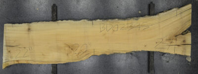 Primavera Board BD02395