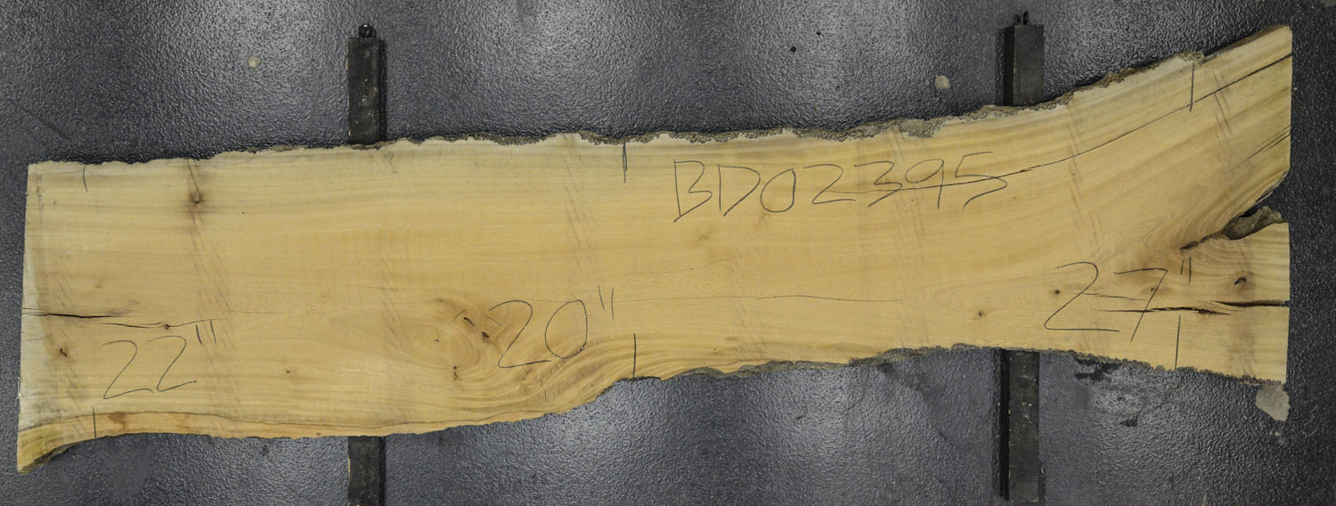 Primavera Board BD02395