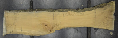 Primavera Board BD02396