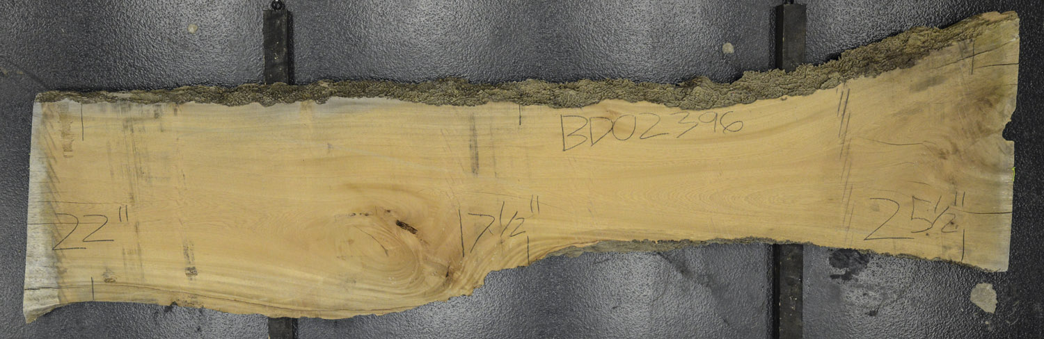 Primavera Board BD02396