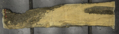 Primavera Board BD02397