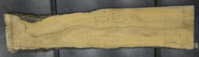 Primavera Board BD02398