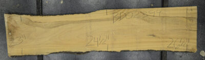 Primavera Board BD02399