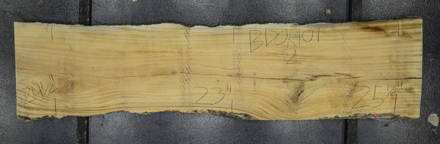Primavera Board BD02401