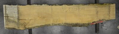 Primavera Board BD02404