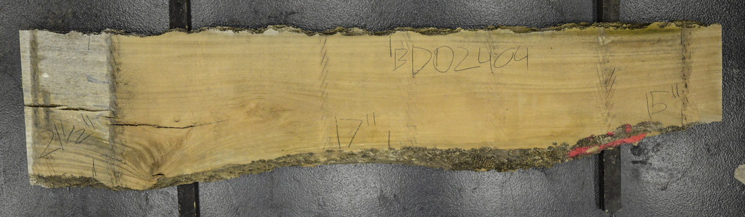 Primavera Board BD02404