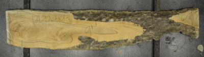 Primavera Board BD02406