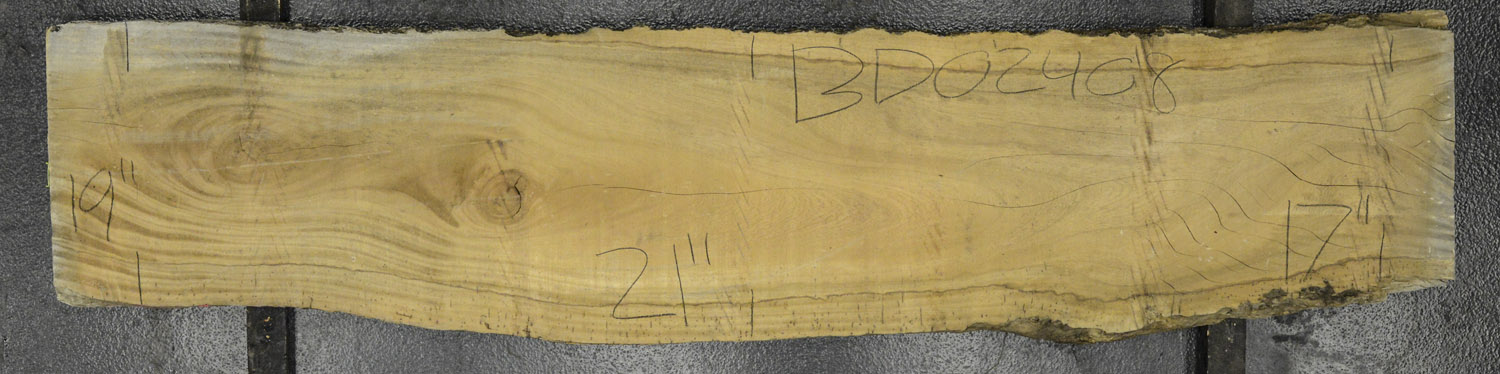Primavera Board BD02408