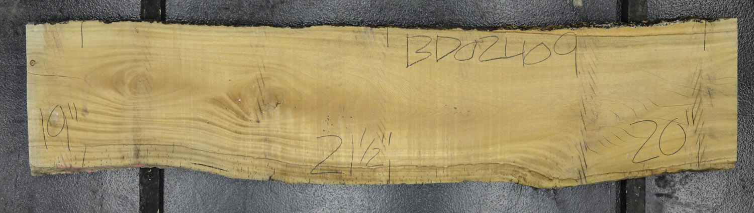 Primavera Board BD02409