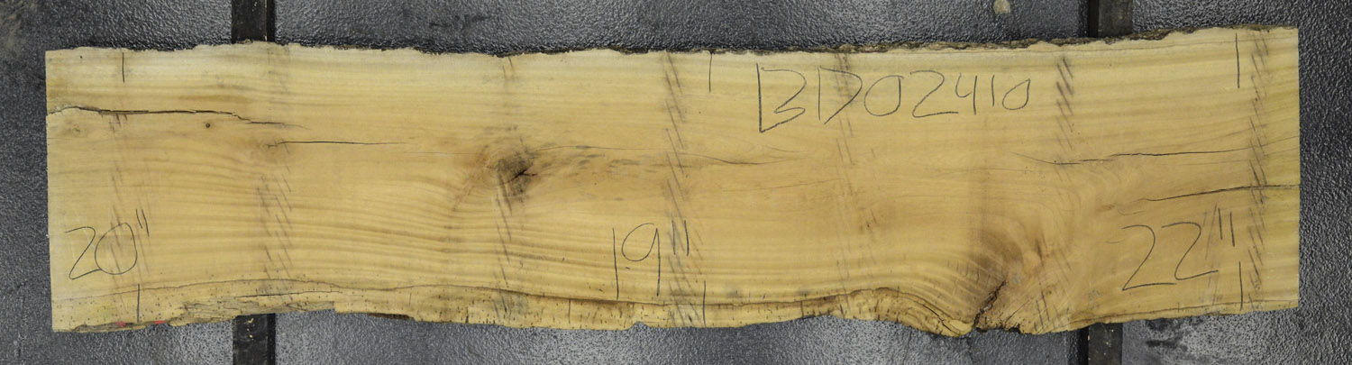 Primavera Board BD02410