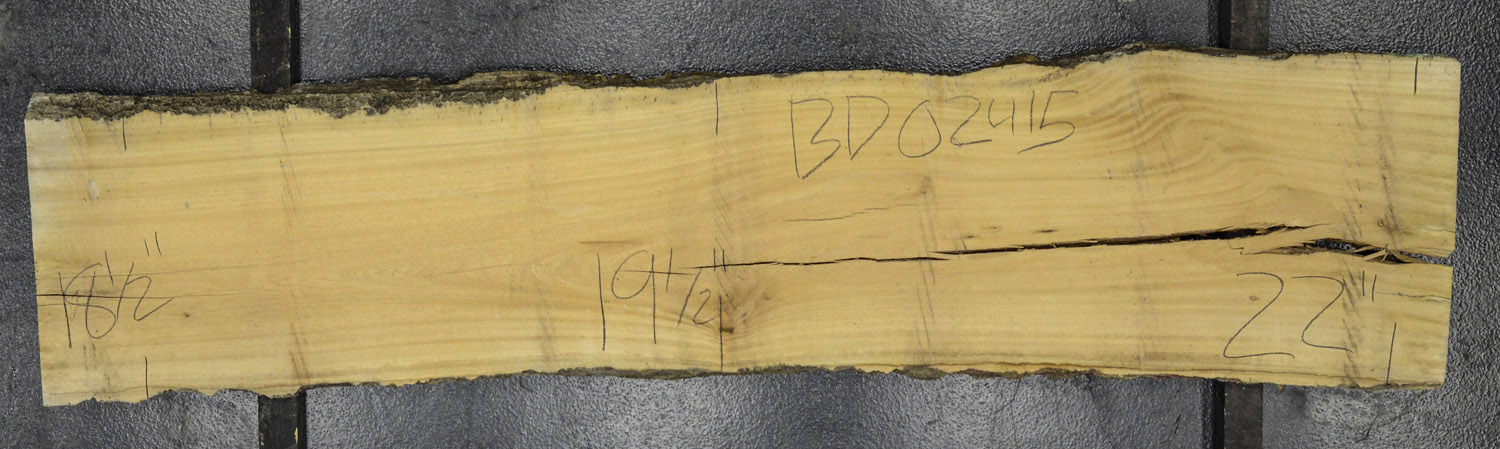 Primavera Board BD02415