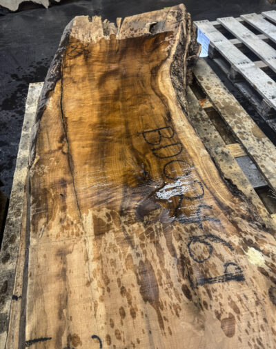 Myrtle (American) Board BD02469