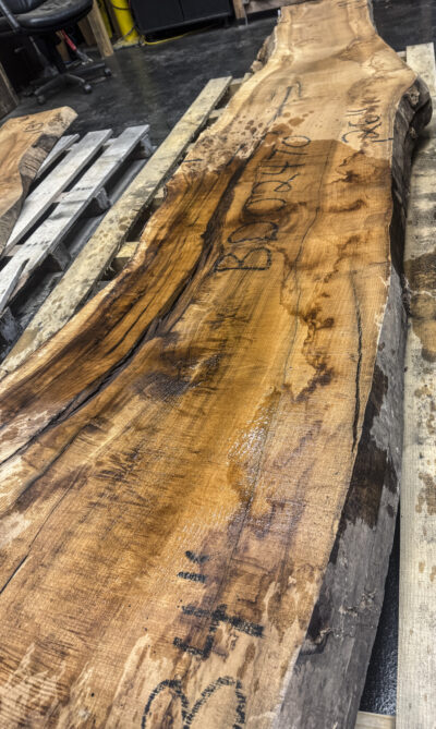 Myrtle (American) Board BD02470