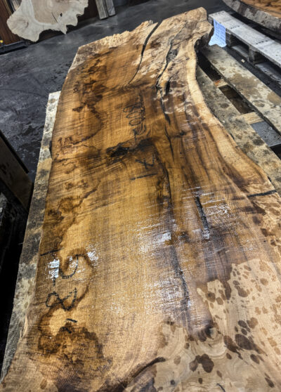 Myrtle (American) Board BD02471