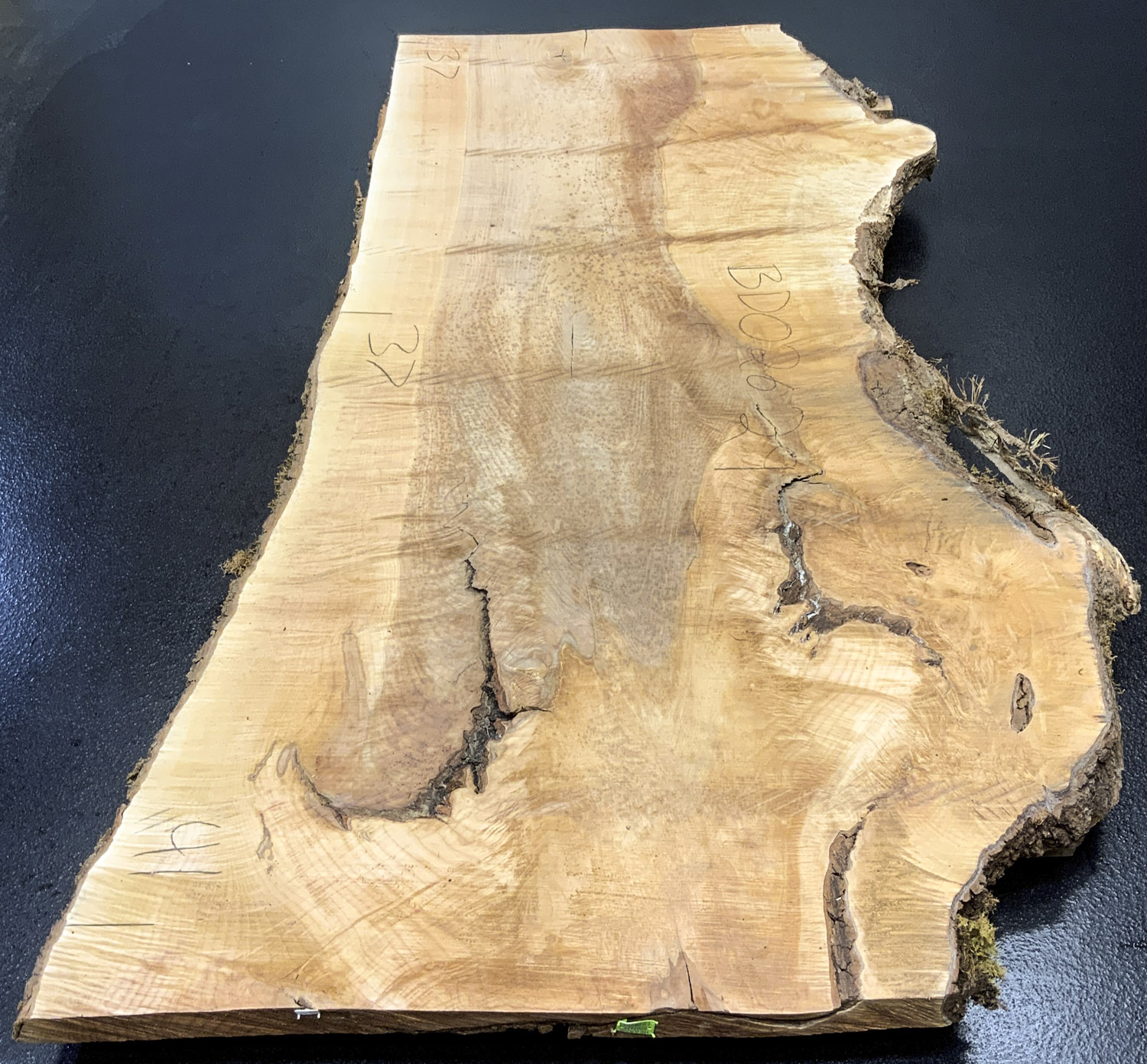 Maple (Big Leaf) Board BD02629