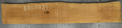 Pear (European) Board BD03981