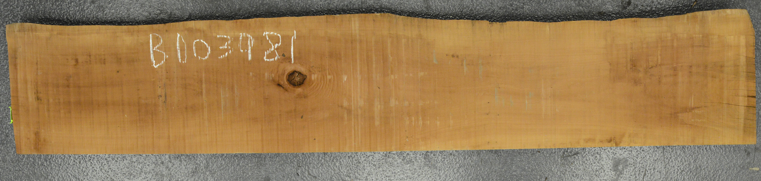 Pear (European) Board BD03981