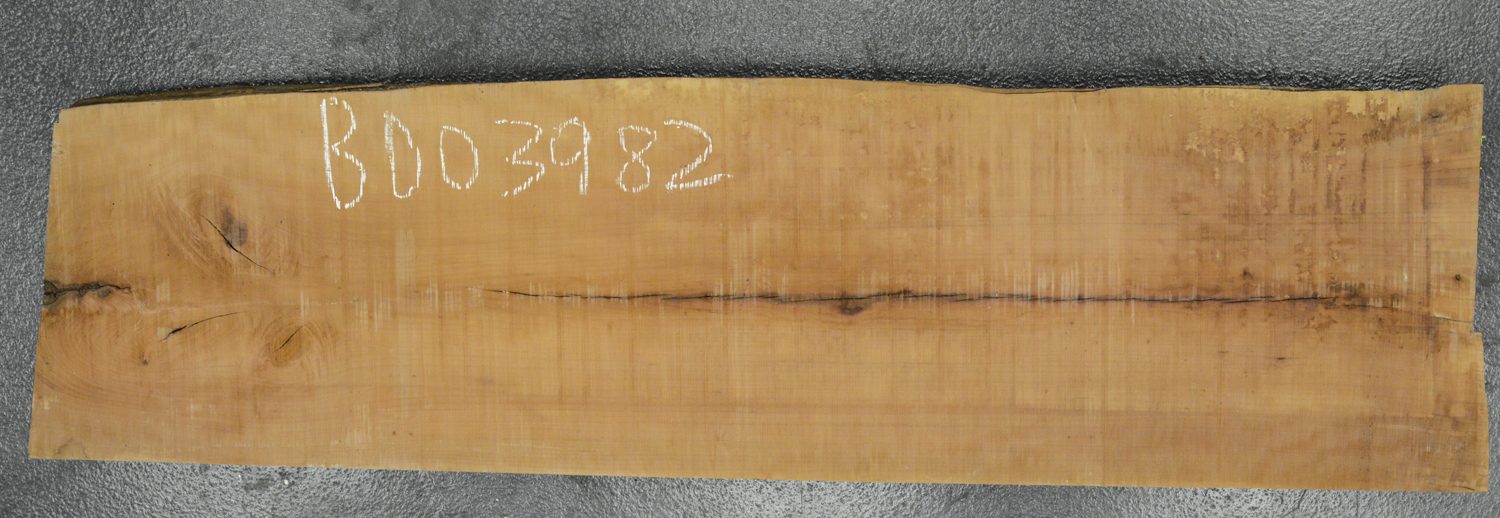 Pear (European) Board BD03982