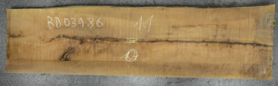 Pear (European) Board BD03986