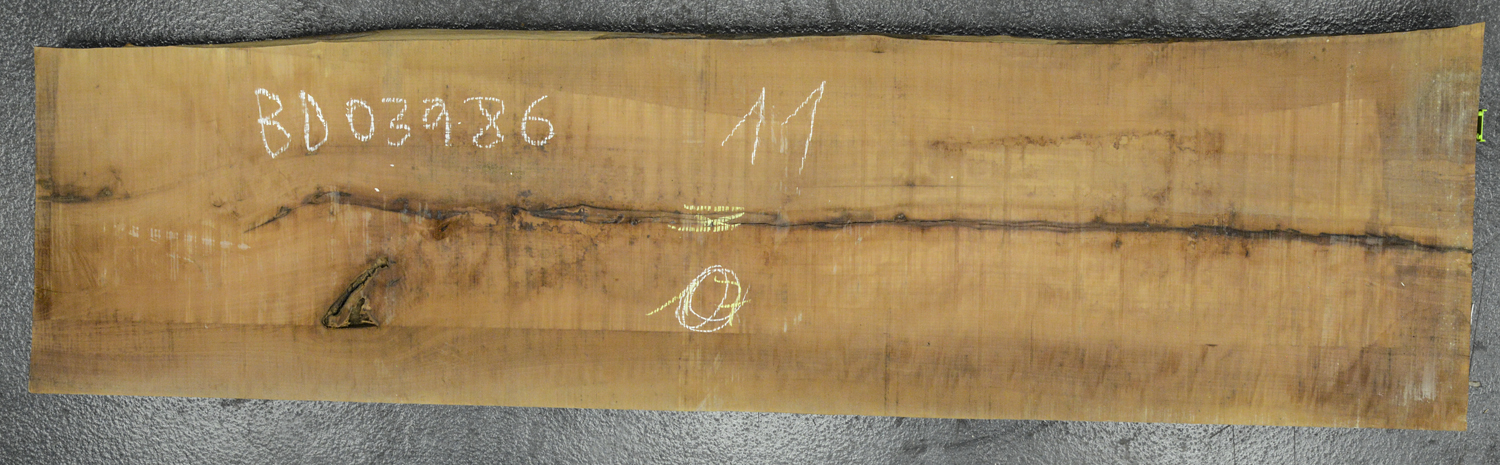 Pear (European) Board BD03986