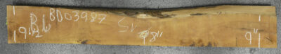 Pear (European) Board BD03987