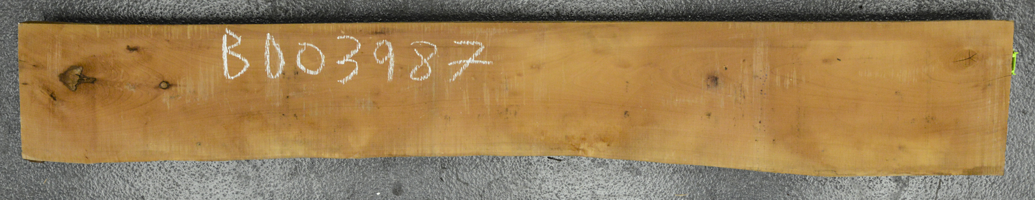 Pear (European) Board BD03987