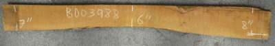 Pear (European) Board BD03988