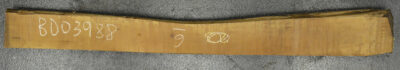 Pear (European) Board BD03988