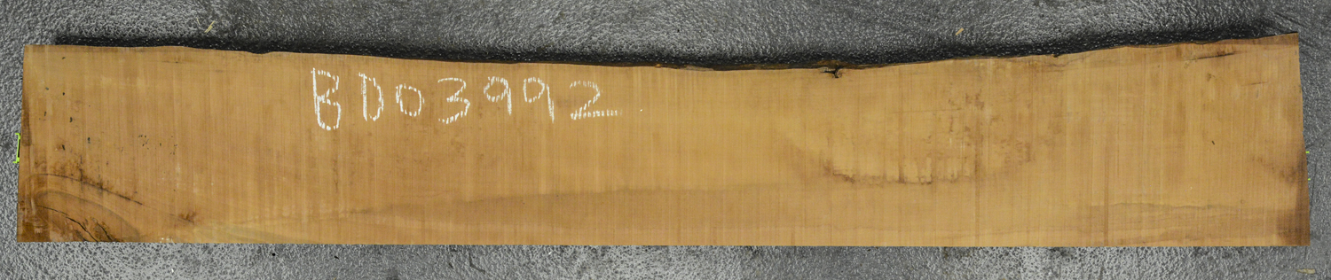 Pear (European) Board BD03992