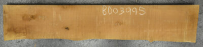 Pear (European) Board BD03995