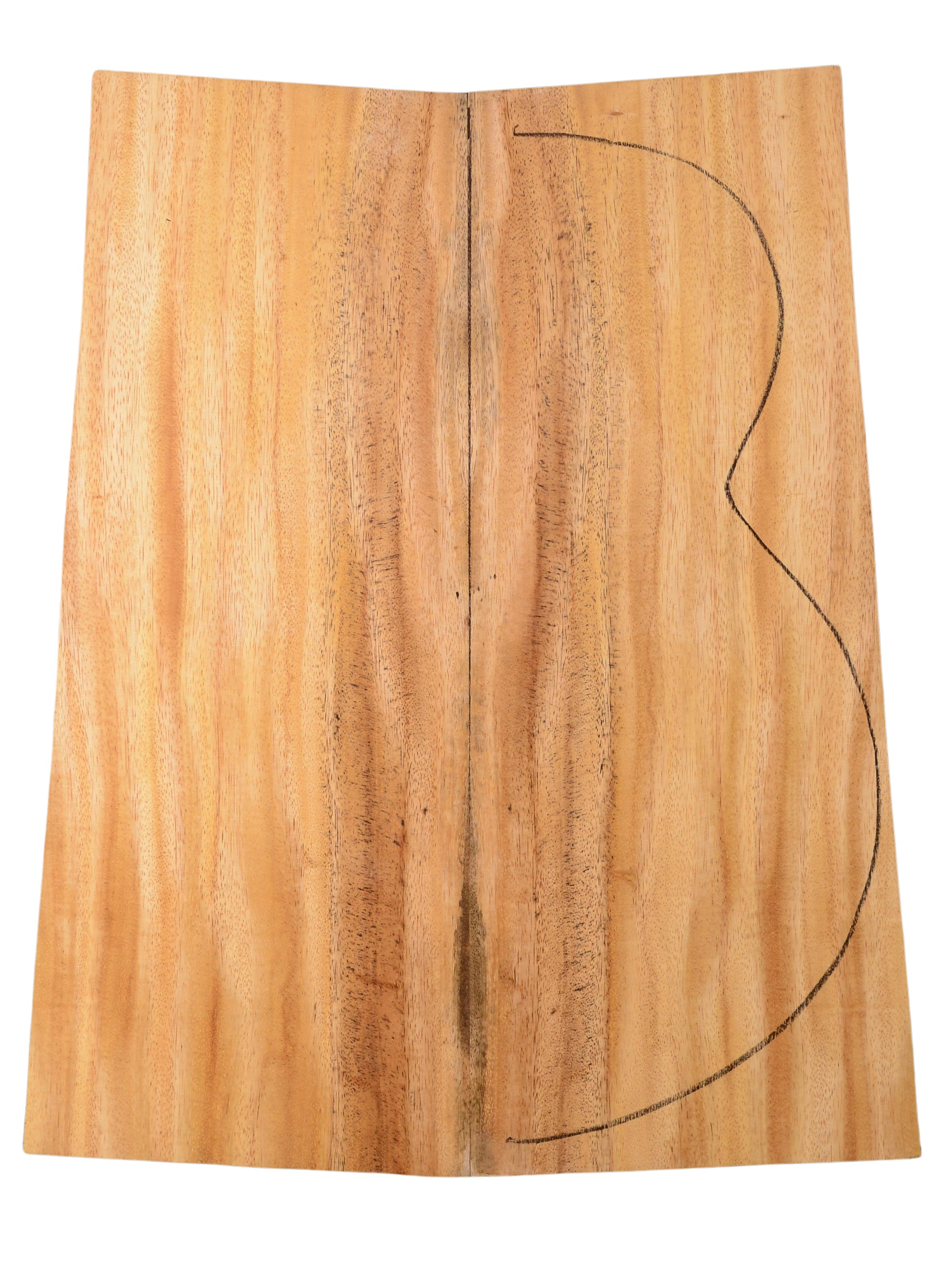 Primavera (Sinker) GuitarBack2pcATC 20185.G.011
