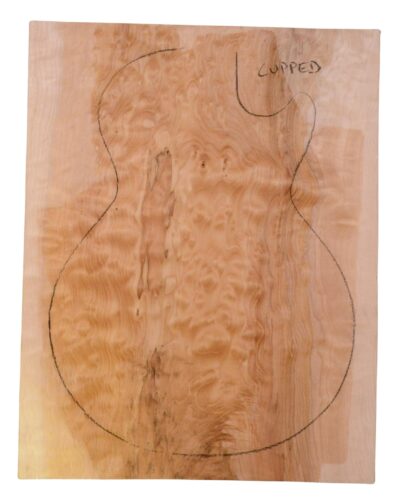 Maple (Big Leaf) GuitarSolidBodyTopATC 23965.G.012