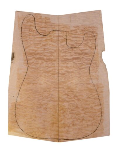 Maple (Big Leaf) GuitarSolidBodyTopATC 23965.G.037