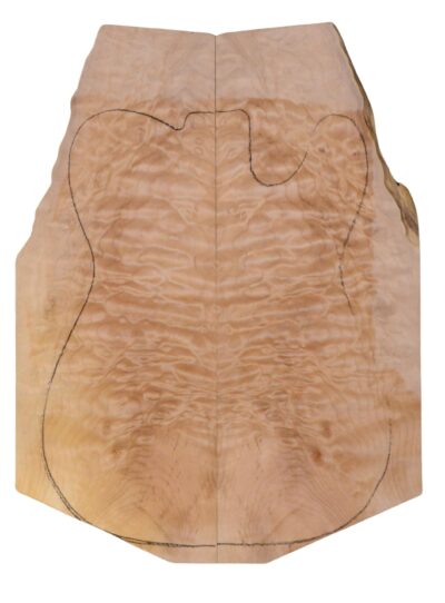 Maple (Big Leaf) GuitarSolidBodyTopATC 23965.G.044
