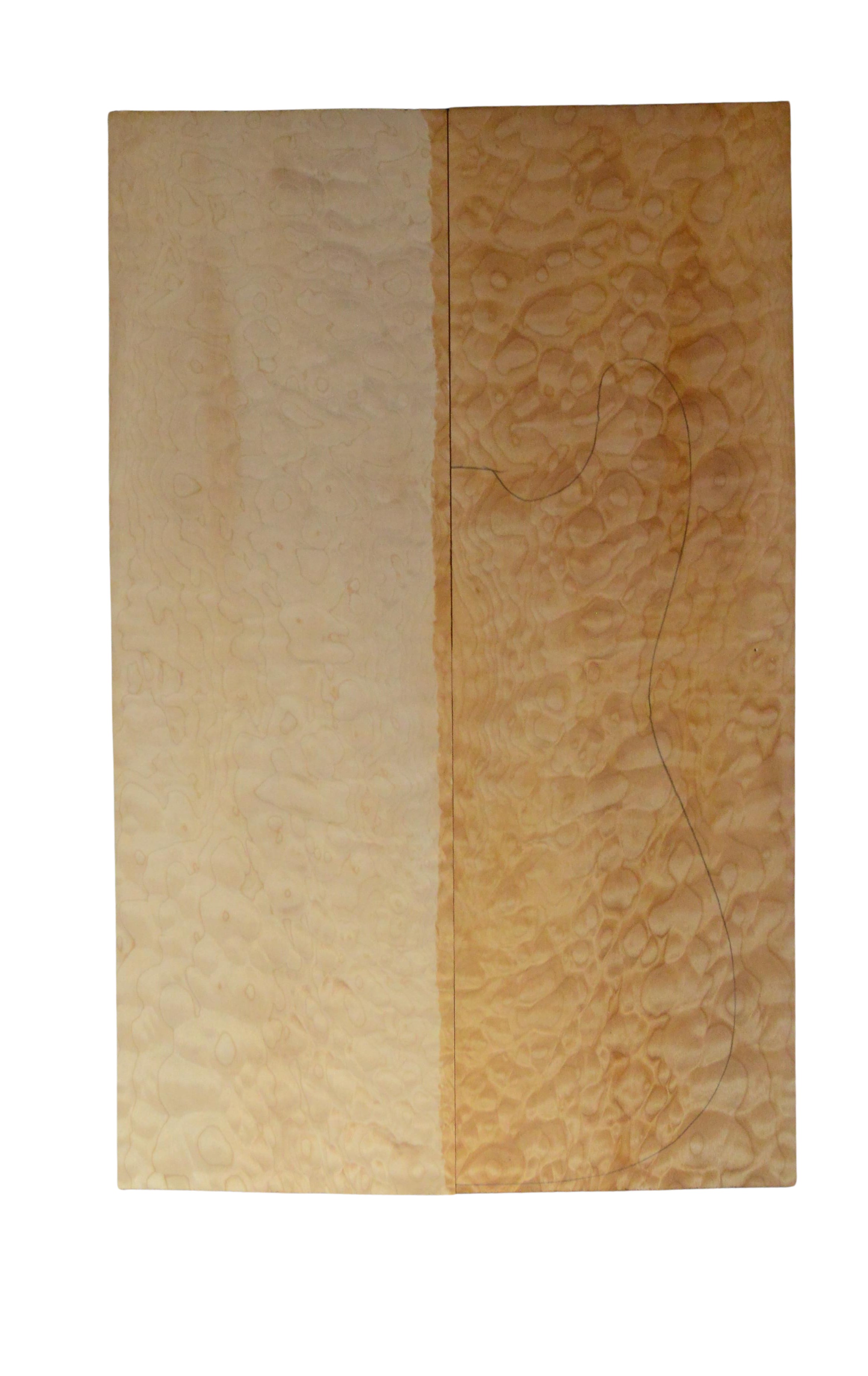 Maple (Big Leaf) GuitarSolidBodyTopATC 26303.G.005