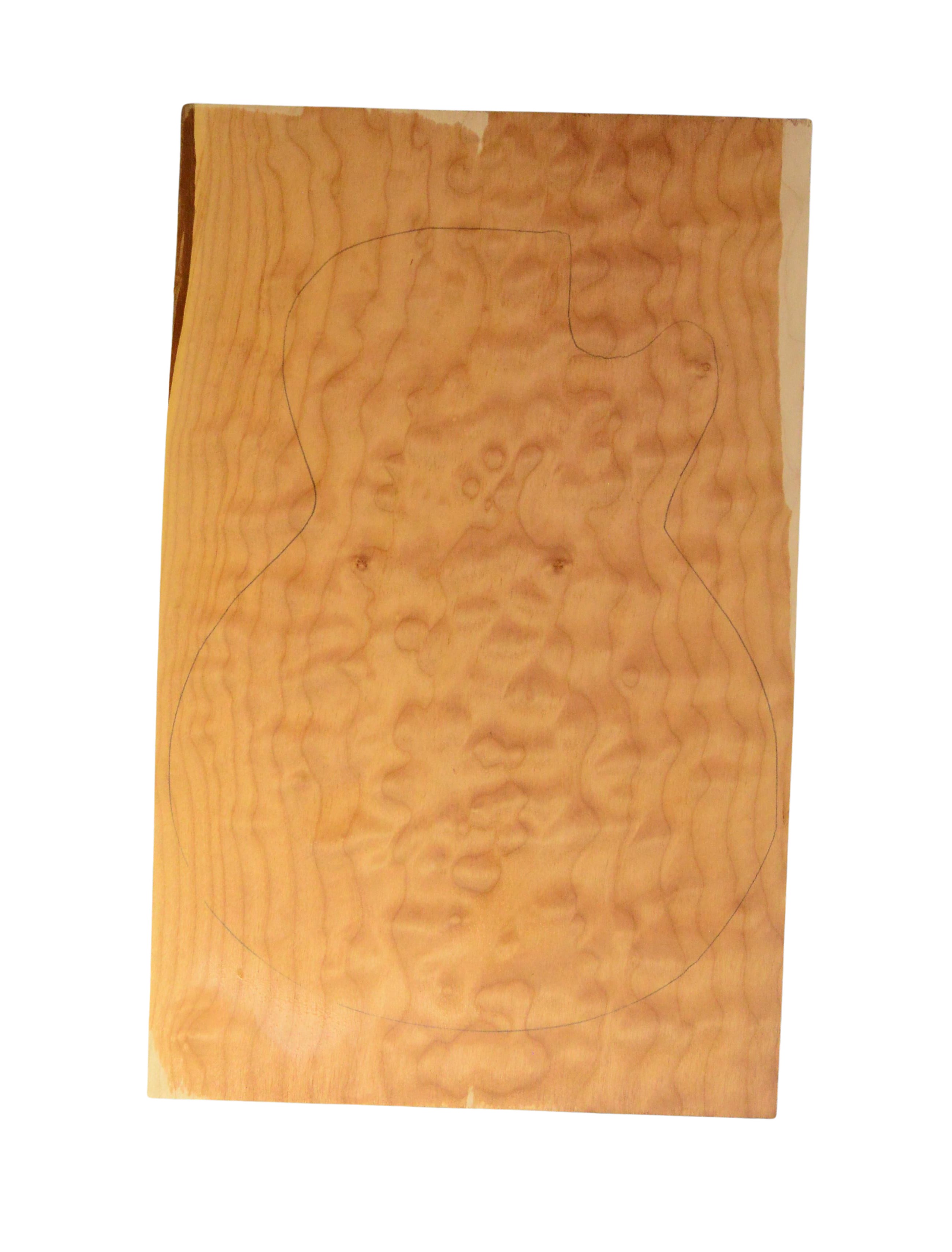 Maple (Big Leaf) GuitarSolidBodyTopATC 26303.G.006