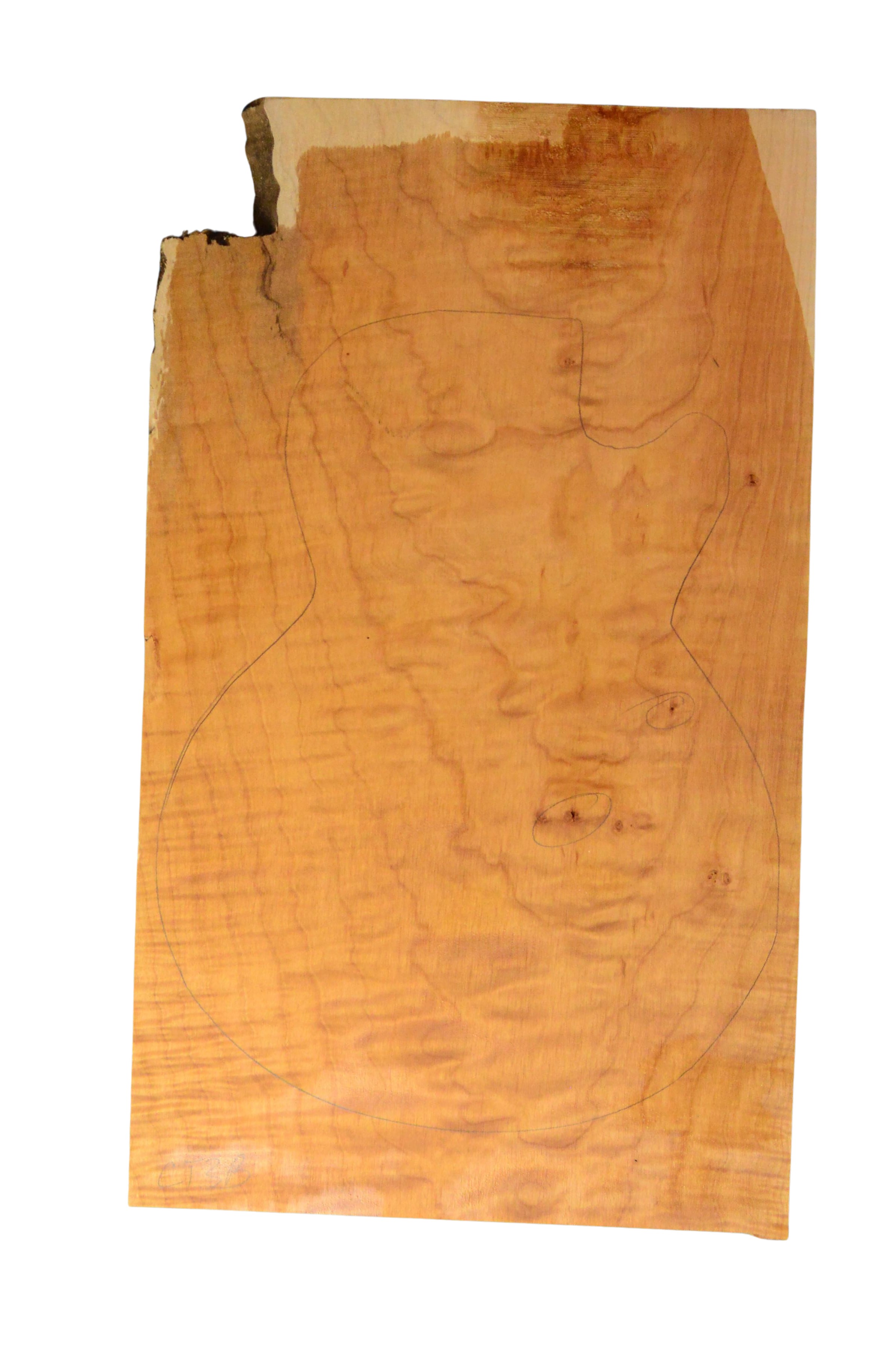 Maple (Big Leaf) GuitarSolidBodyTopATC 26303.G.007