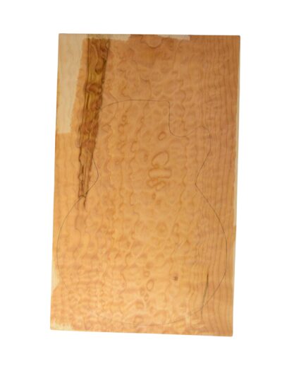 Maple (Big Leaf) GuitarSolidBodyTopATC 26303.G.009