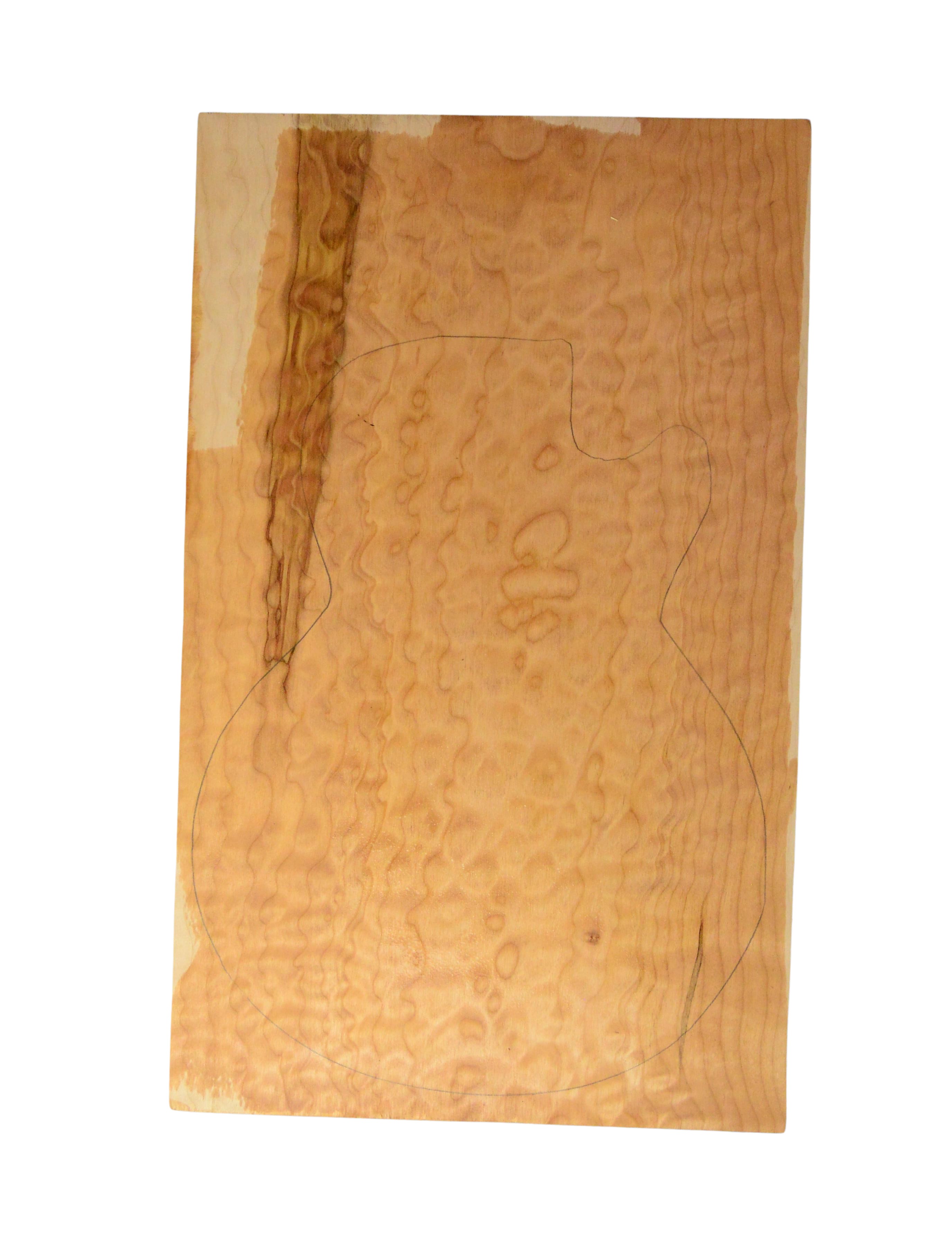 Maple (Big Leaf) GuitarSolidBodyTopATC 26303.G.009